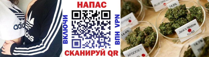Купить где  Верхнеуральск  Конопля OG Kush 
